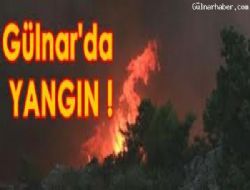 GLNAR' DA ORMAN YANGINI